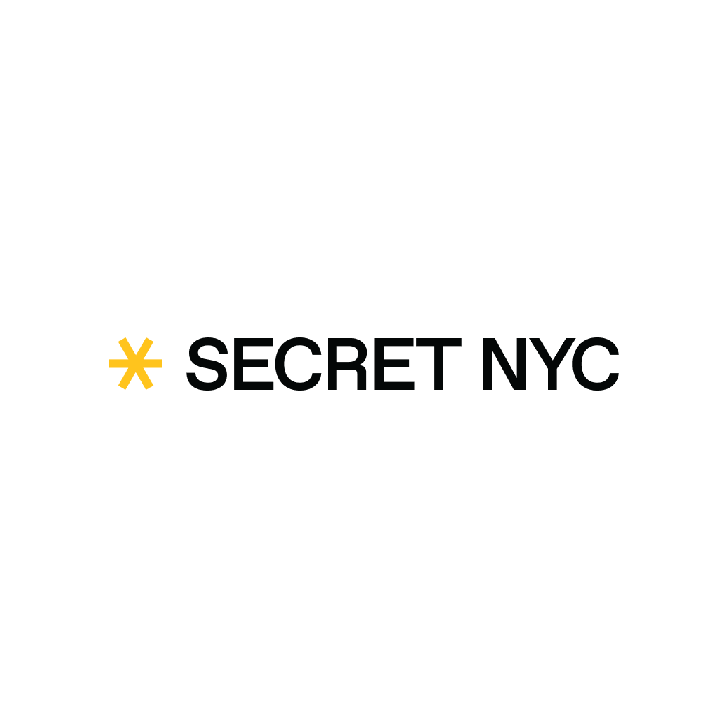 secret nyc logo