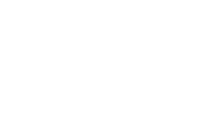 Ai Fiori logo